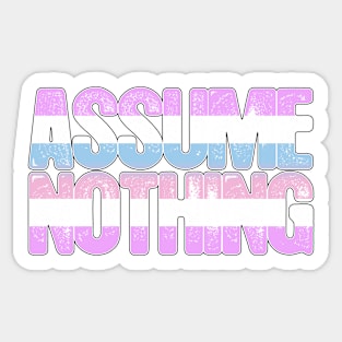 Bigender Pride Assume Nothing Sticker